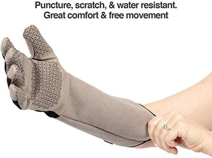 PetFusion Multipurpose Pet Glove - Image 2