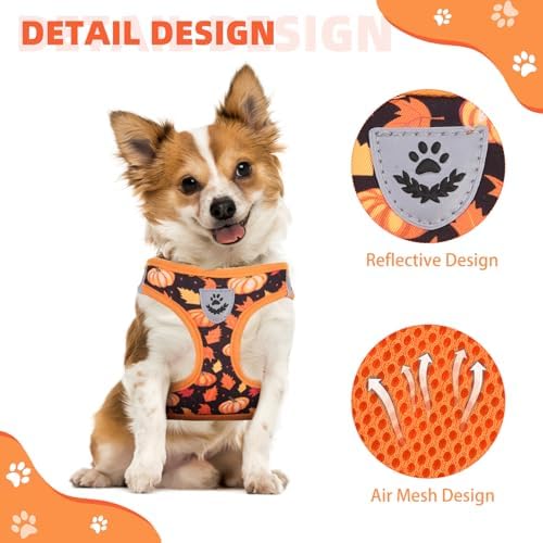 KOOLTAIL Fall Dog Harness and Leash Set - Image 4