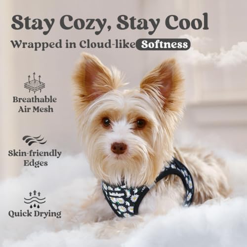rabbitgoo Step-in Small Dog Harness, Puppy Vest - Image 3