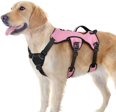 rabbitgoo Escape Proof Dog Harness by rabbitgoo