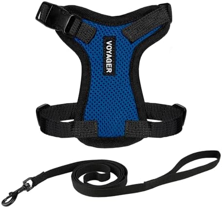 Voyager Step-in Lock Cat Harness & Leash Set by BestPetSuppliesLLC