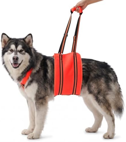 PAWsay Adjustable Dog Sling for Large Dogs Hind Leg Support by PAWsay