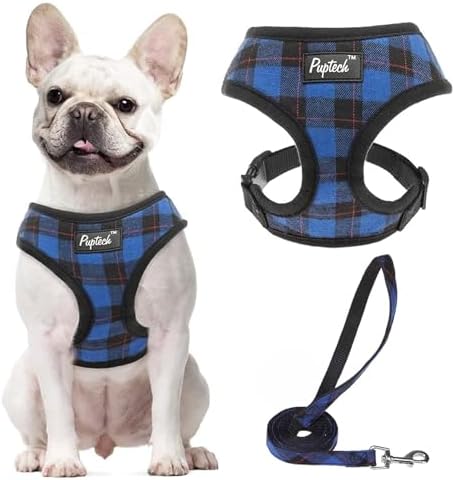 PUPTECK Small Dog Harness and Leash Set No Pull by PUPTECK