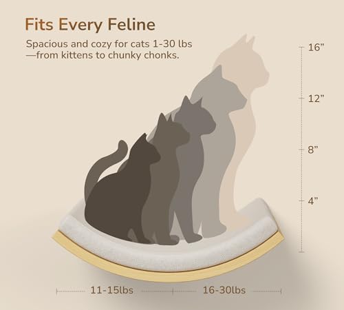 Cat Window Perches, Cat Wall Shelves - Image 6