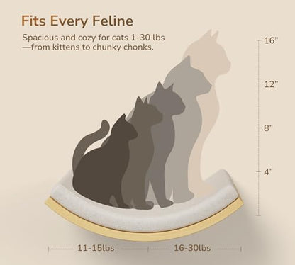 Cat Window Perches, Cat Wall Shelves - Image 6