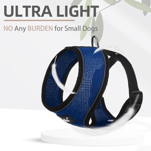 PUPTECK Small Dog Harness and Leash Set No Pull - Image 5