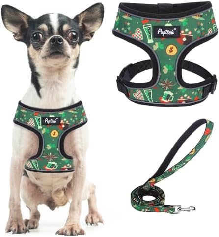 PUPTECK Small Dog Harness and Leash Set No Pull by PUPTECK