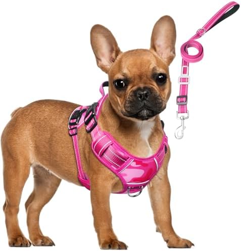 Tactical Service Dog Vest and Leash Set by MOOGROUPETSFRIEND