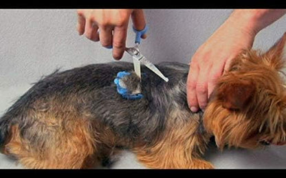 Scaredy Cut Silent Clipper + Sharpener Pet Grooming Kit, Right-Handed 17pc RH + - Image 4