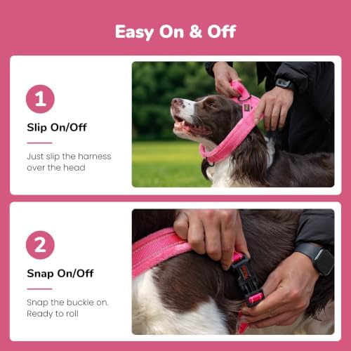 Didog No Pull Dog Harness for Small Dogs, Soft Flannel Padded - Image 3