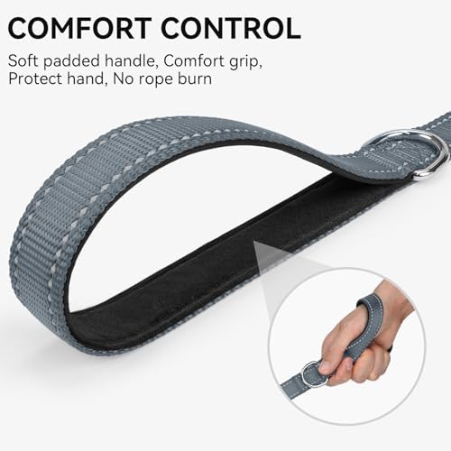 Joytale Reflective Dog Leash for Small Dogs, 5 FT x 3/4" - Image 3