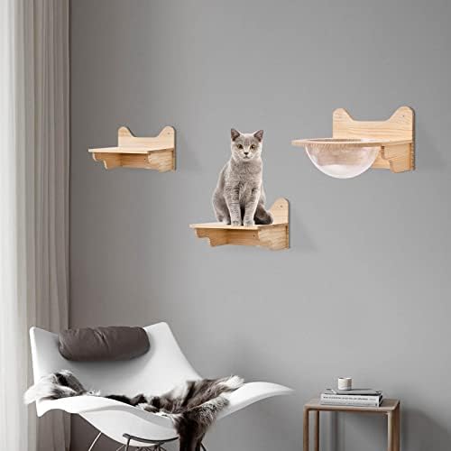 Wall-Mounted Wooden Cat Space Clear Capsule, Transparent Capsule - Image 5