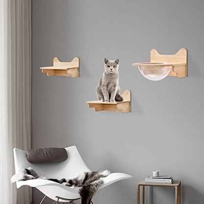 Wall-Mounted Wooden Cat Space Clear Capsule, Transparent Capsule - Image 5