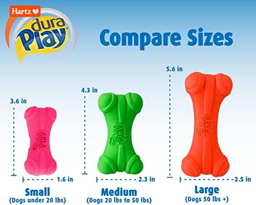 Hartz DuraPlay Bone Squeaky Latex Dog Toy - Image 3