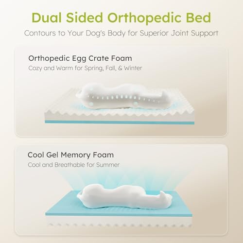 CWAWZ XXL Dog Bed for Extra Large Dogs, Giant Orthopedic Dog Bed - Image 2