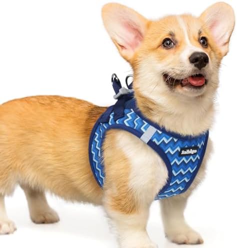 rabbitgoo Step-in Small Dog Harness, Puppy Vest by rabbitgoo