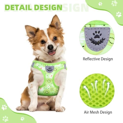 KOOLTAIL Dog Harness and Leash Set - Image 4
