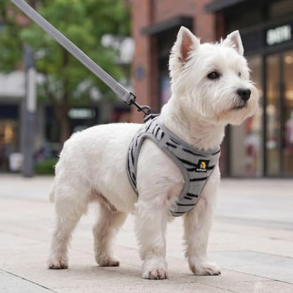 BELLA & PAL Step in Puppy Harness and Leash Set - Image 5