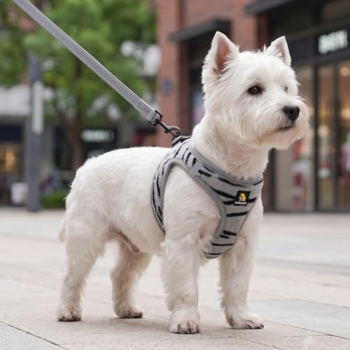BELLA & PAL Step in Puppy Harness and Leash Set - Image 5