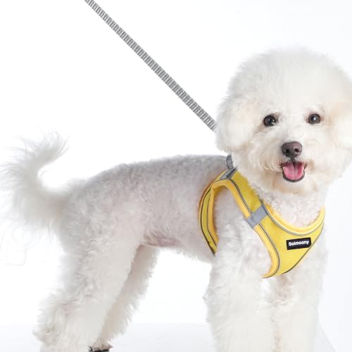 Solmoony Sparkly XXS Dog Harness and Leash Set, Step in Soft Light Puppy Vest - Image 2