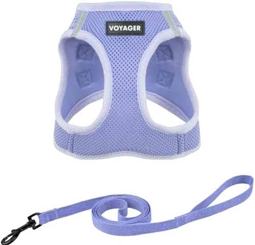 Voyager Step-in Air Cat Harness & Leash Set by BestPetSuppliesLLC