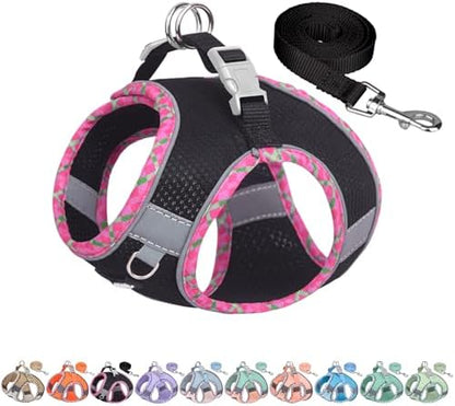 AIITLE Tiny Dog Harness and Leash Set, Step-in Vest by AIITLE-FORPETSBETTERLIFE