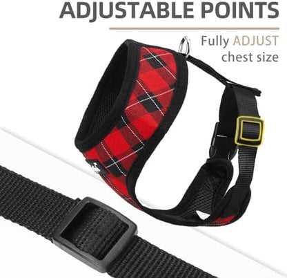 PUPTECK Small Dog Harness and Leash Set No Pull - Image 3