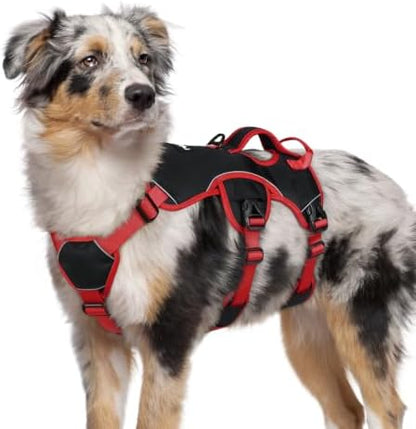 rabbitgoo Escape Proof Dog Harness by rabbitgoo