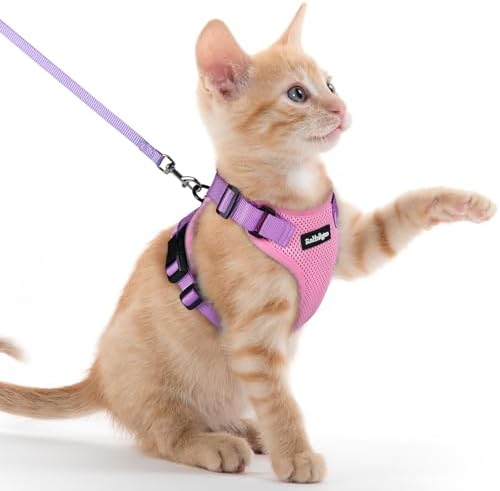 rabbitgoo Cat Harness and Leash Set, Escape Proof Vest by rabbitgoo