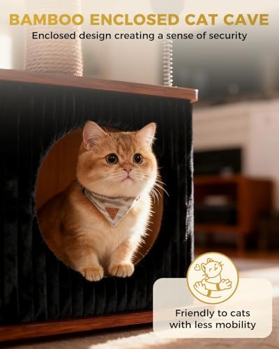 Small Cat Tree for Indoor Kittens - Image 3