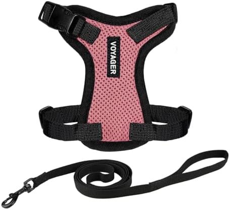 Voyager Step-in Lock Cat Harness & Leash Set by BestPetSuppliesLLC