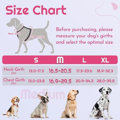 Eagloo Dog Harness No Pull for Medium Dogs, Easy On & Off - Image 2