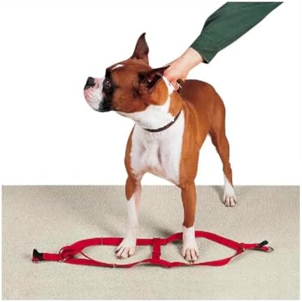 Dog Harness Easy to Use 2 Step Secure Safe Comfortable Firm No Struggle Pull by Unknown
