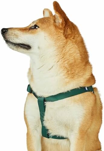 Blueberry Pet Essentials Step-in Dog Harness, Large Size | Adjustable Verdant by BlueberryPet