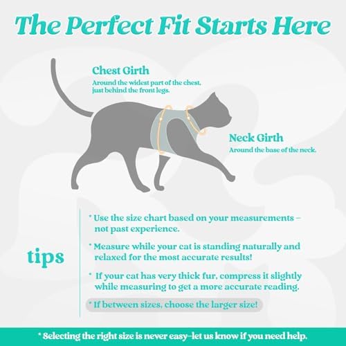rabbitgoo Cat Harness and Leash Set, Step-in Soft Vest - Image 2