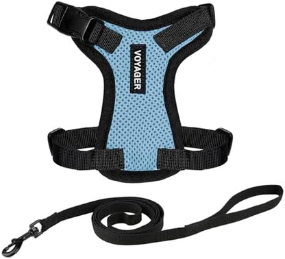 Voyager Step-in Lock Cat Harness & Leash Set by BestPetSuppliesLLC