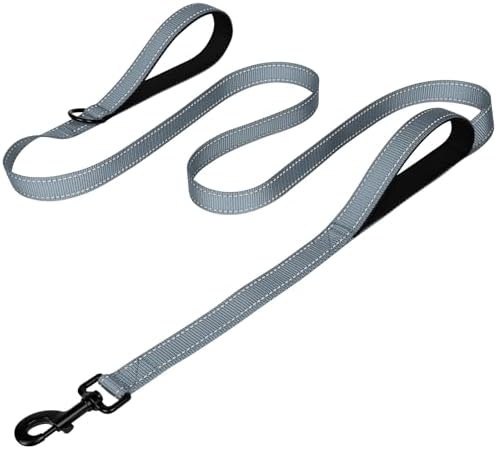 Joytale Dog Leash for Large Dogs that Pull, Double Handle by Joytale