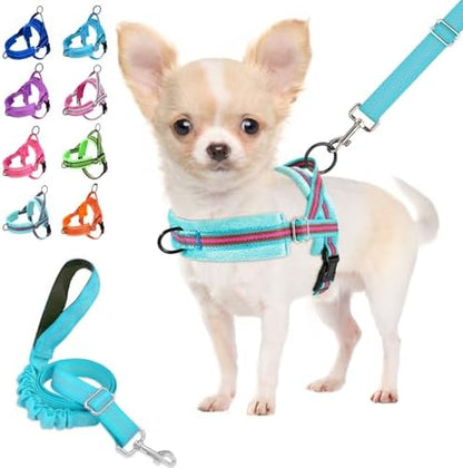 Lukovee Small Dog Harness and Leash Set, No Pull Soft Padded Vest by Lukovee