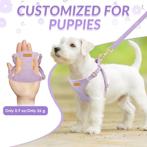 SlowTon No Pull Dog Harness - Image 2