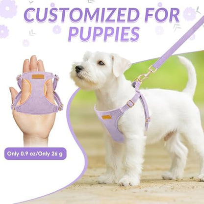 SlowTon No Pull Dog Harness - Image 2