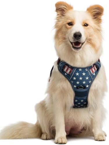 rabbitgoo Dog Harness, No Pull Medium Sized by rabbitgoo