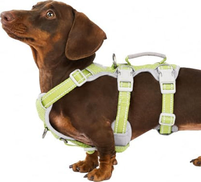 Huntboo Escape Proof Dog Harness, Secure Dog Harness No Escape, Fully by Huntboo