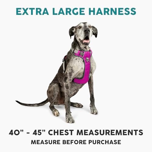 Embark No Pull Dog Harness, Reflective Adjustable Training Vest, No Choke - Image 2