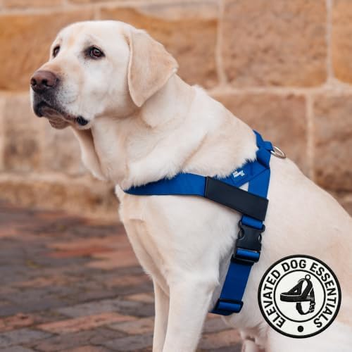 Dog Friendly Co. Dog Harness for Small Dogs - Image 5