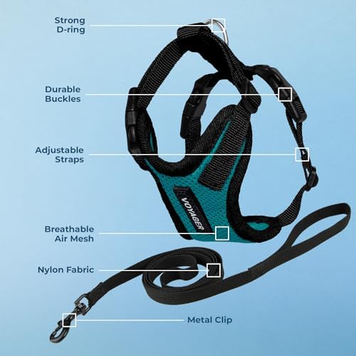 Voyager Step-in Lock Cat Harness & Leash Set - Image 3