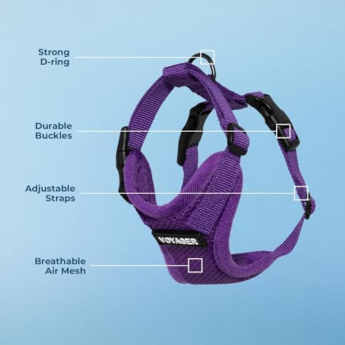 Voyager Step-in Lock Dog Harness - Image 4