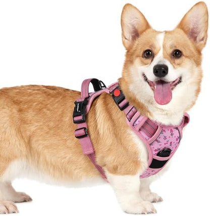 rabbitgoo Dog Harness Small Sized, Updated Easy On & Off by rabbitgoo
