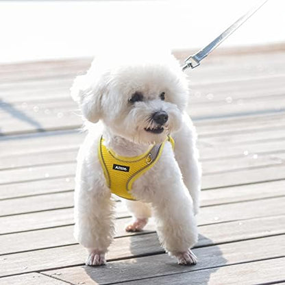 AIITLE Medium Dog Harness and Leash Set, Step-in Puppy Pet Vest - Image 2
