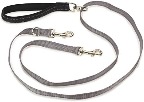 PetSafe Two Point Control Dog Leash, 3/4 in. Wide Leash - Image 2
