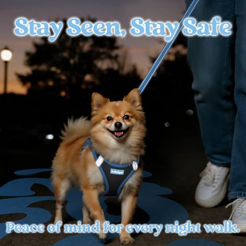 rabbitgoo Dog Harness Small Sized and Leash Set, Step in Soft Vest - Image 5
